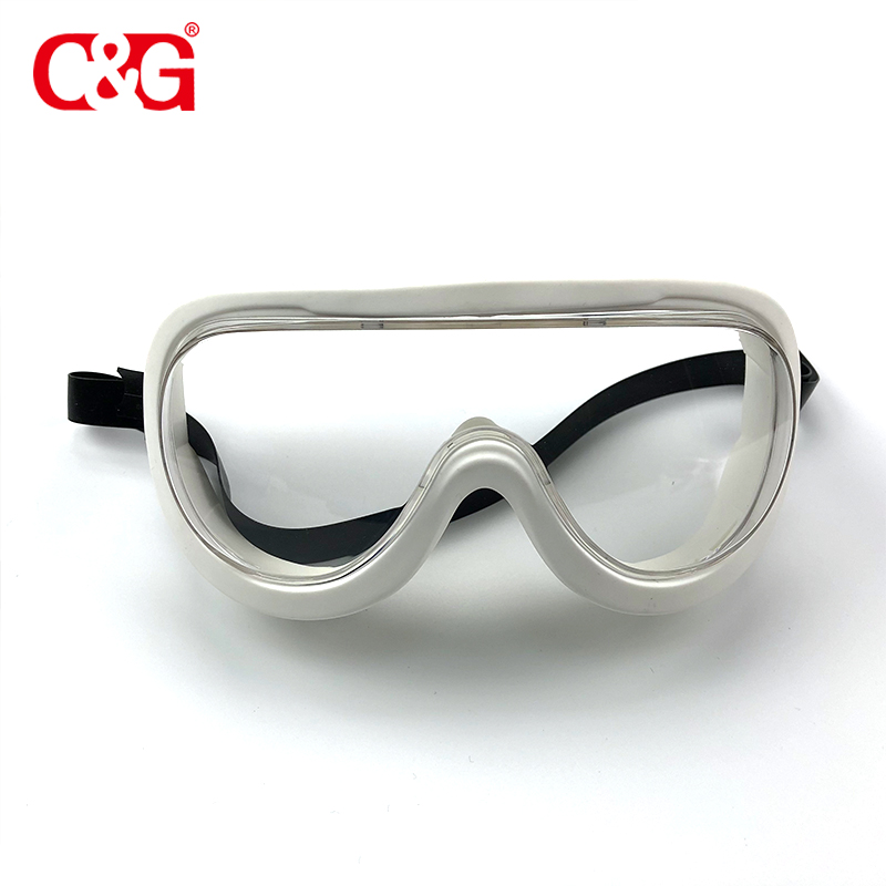 Safety glasses G18